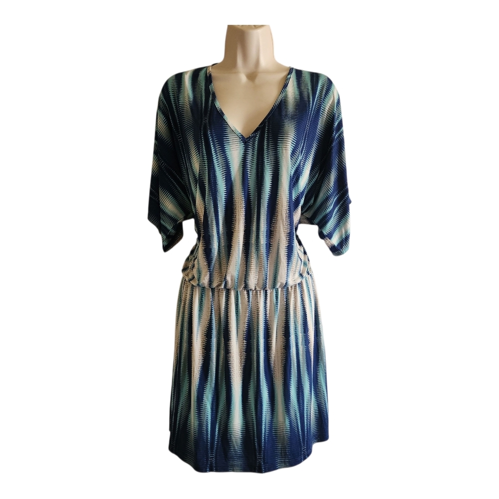 Veronica M Blue White Drop Waist Dress Large